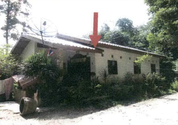 ป่าชิง จะนะ สงขลา