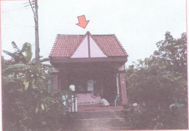 สะเดา สะเดา สงขลา