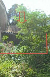 ขายบ้านเดี่ยว