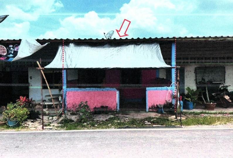 สะเดา สะเดา สงขลา