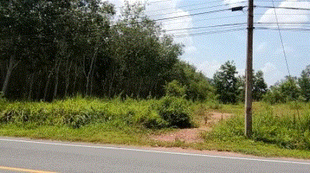 ขายที่ดิน