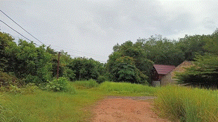 ขายที่ดิน