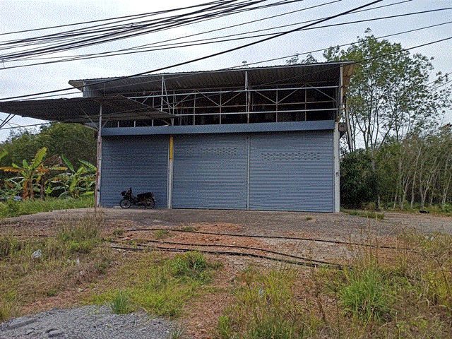 ขายอู่ซ่อมรถ ป่าชิง จะนะ สงขลา ขนาด 0-0-85.9-0 (ไร่-งาน-วา-เมตร) ของ ธนาคารกรุงเทพ