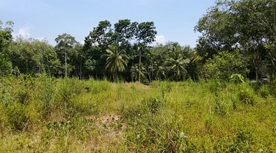 ขายที่ดิน