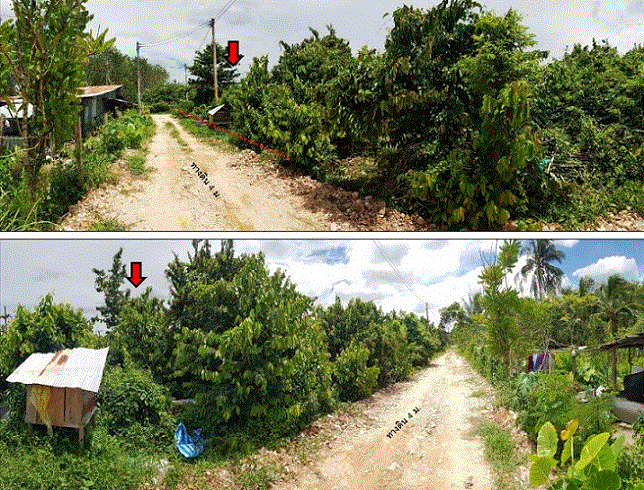 ขายที่ดิน