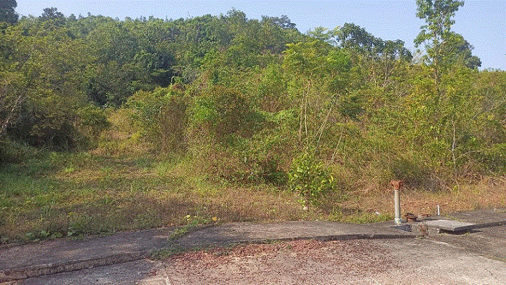 ขายที่ดิน