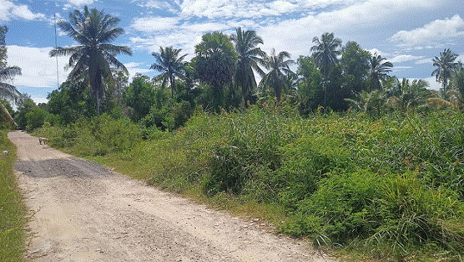 ขายที่ดิน