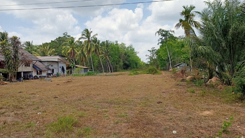 ขายที่ดิน